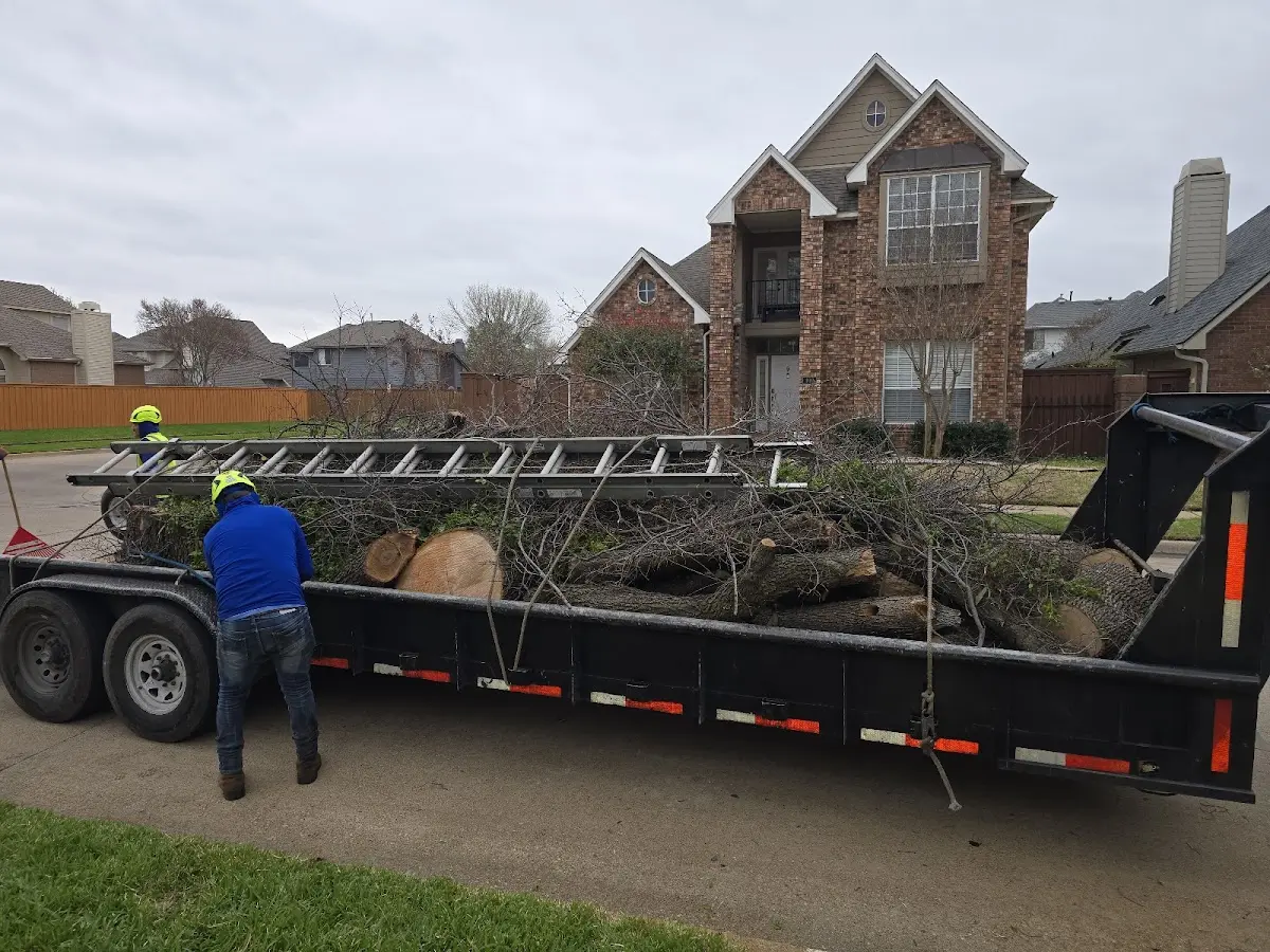 Expert Crown Reduction with proper safety equipment in West Branch